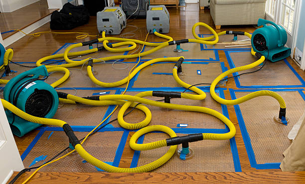 Professional Sewage Cleanup technician working in Hollins, VA